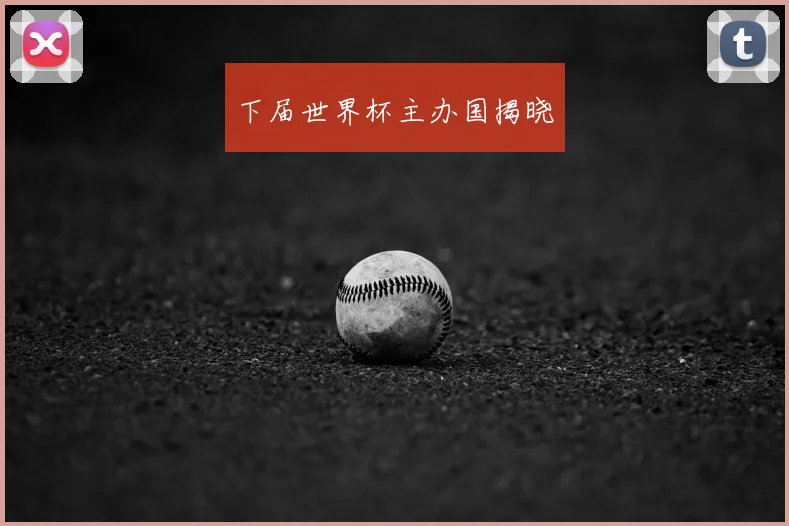 下届世界杯主办国揭晓