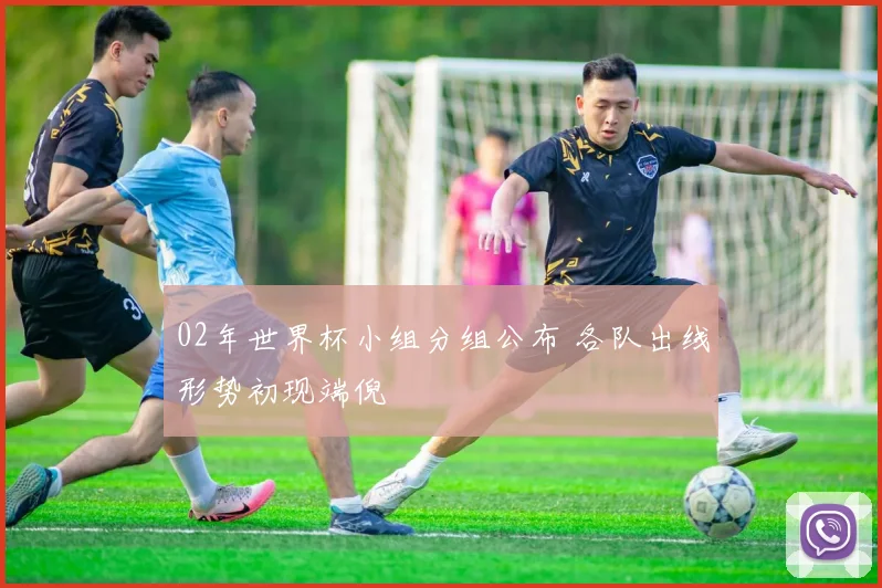 02年世界杯小组分组公布 各队出线形势初现端倪