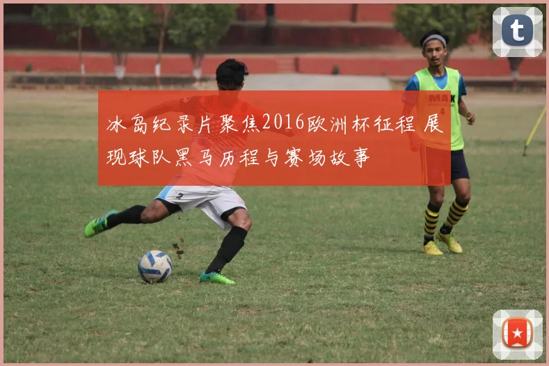 冰岛纪录片聚焦2016欧洲杯征程 展现球队黑马历程与赛场故事